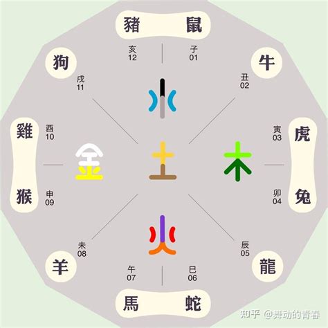 動物五行|如何区分动物的五行属性？